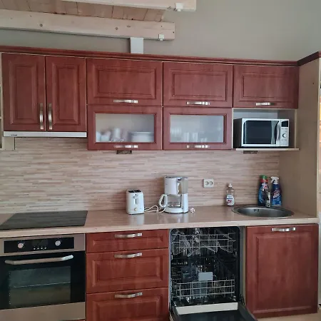 Vanalinna Vaatega Suure Roduga Korter Apartmán *