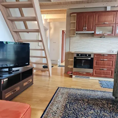 Vanalinna Vaatega Suure Roduga Korter Apartmán *